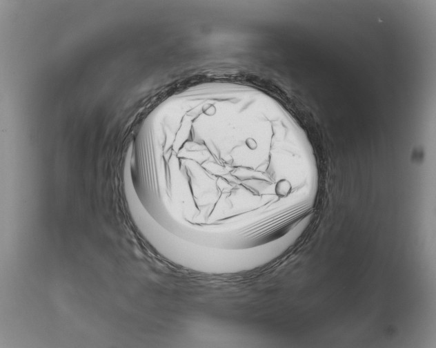 X0000111531445200908251151