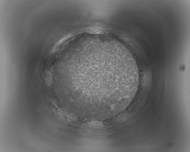 X0000111531446200908251151