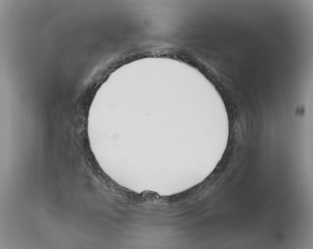 X0000111531447200908251151