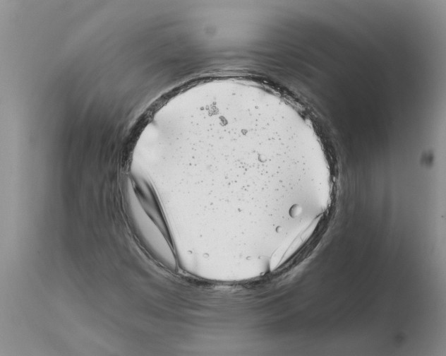 X0000111531449200908251151