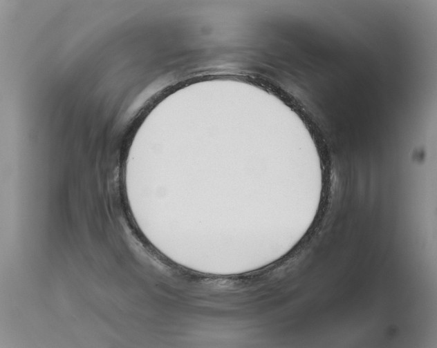 X0000111531450200908251151