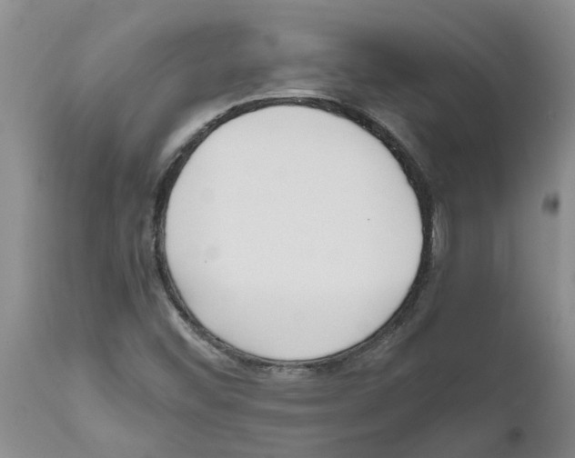 X0000111531452200908251151