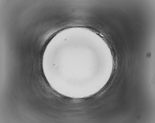 X0000111531453200908251151