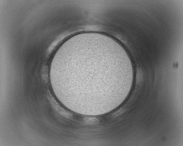 X0000111531454200908251151