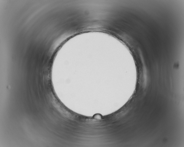 X0000111531458200908251150