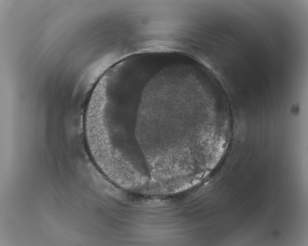 X0000111531459200908251150