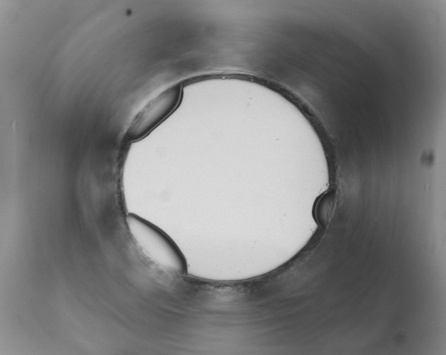 X0000111531460200908251150