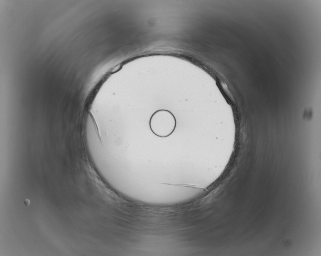 X0000111531461200908251150