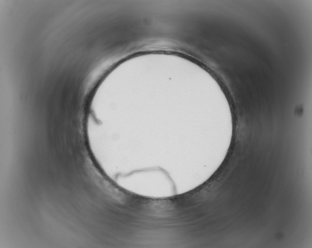 X0000111531464200908251150