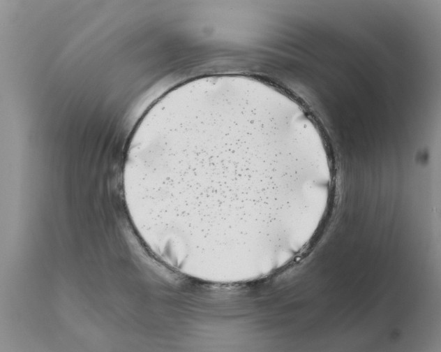 X0000111531465200908251150