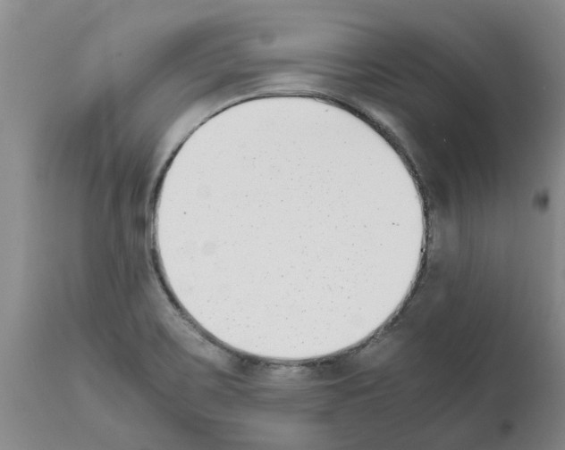 X0000111531467200908251150