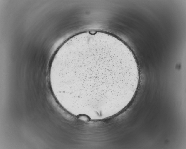 X0000111531469200908251150