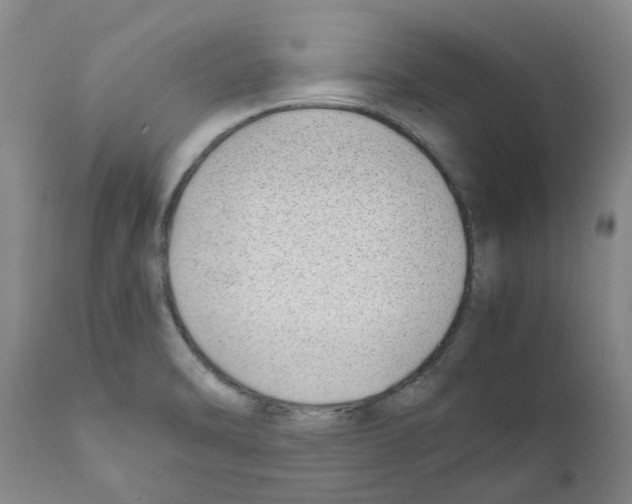 X0000111531470200908251150