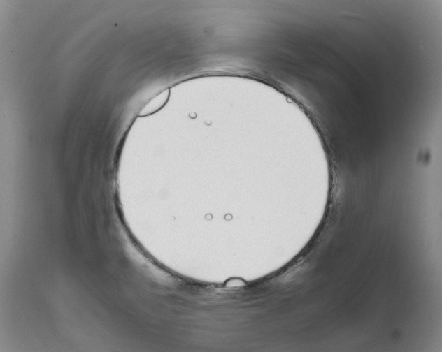 X0000111531471200908251150