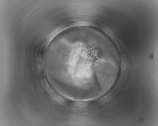 X0000111531473200908251150