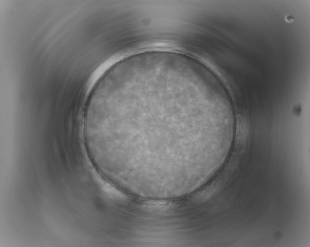 X0000111531474200908251150