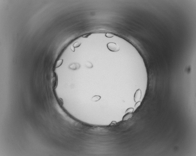 X0000111531476200908251150