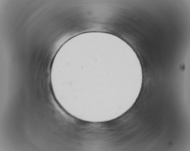 X0000111531479200908251150