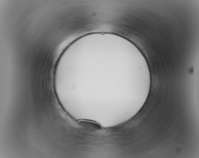 X0000111531480200908251150