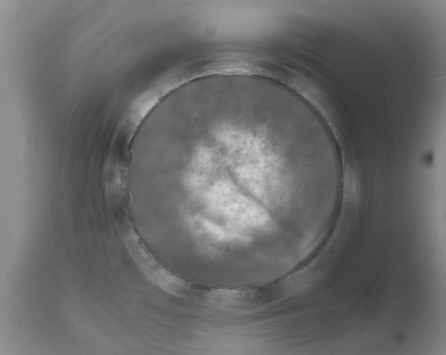 X0000111531481200908251150