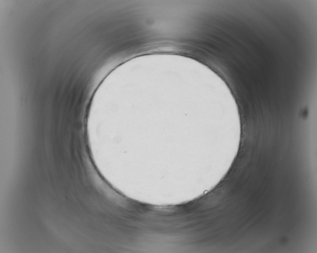 X0000111531483200908251150