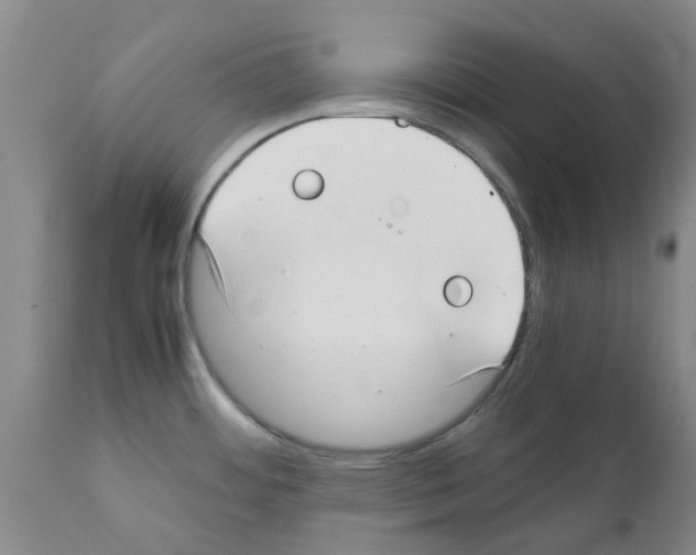 X0000111531484200908251150