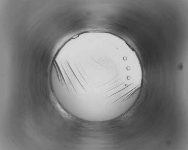 X0000111531485200908251150