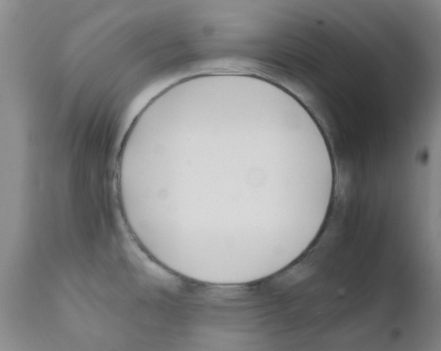 X0000111531486200908251150