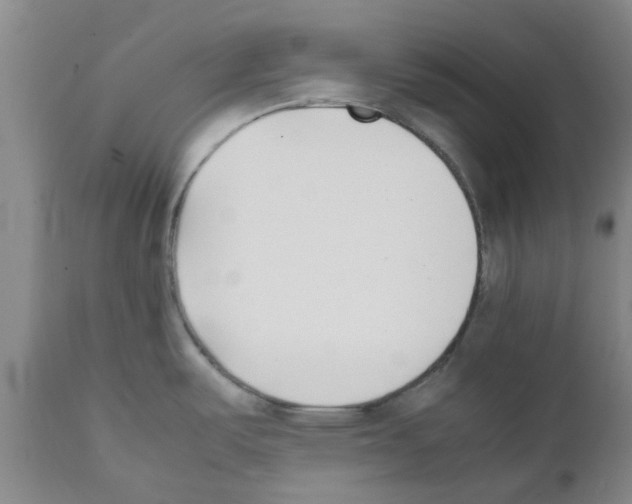 X0000111531487200908251150