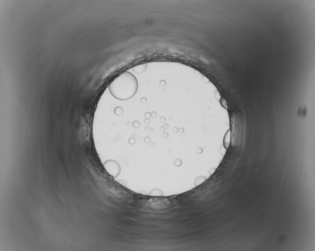 X0000111531491200908251149