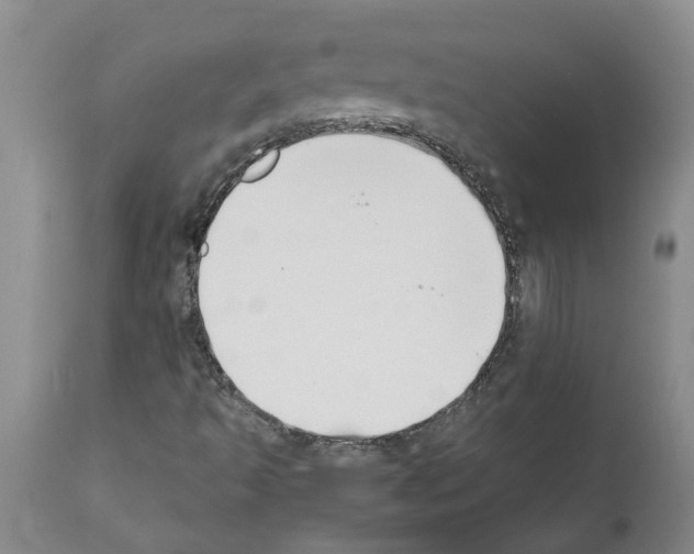 X0000111531493200908251149