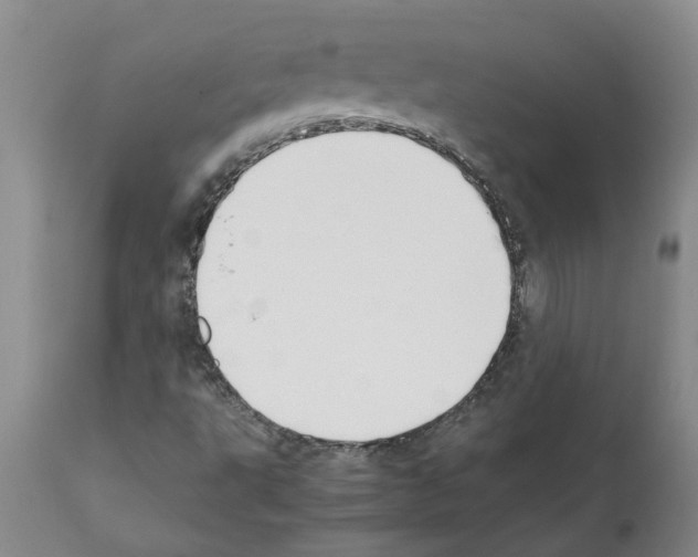 X0000111531495200908251149