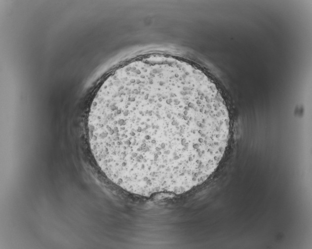 X0000111531496200908251149