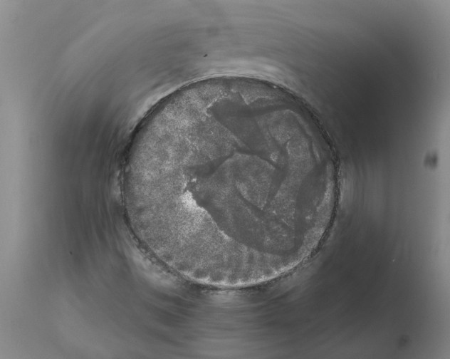 X0000111531497200908251149