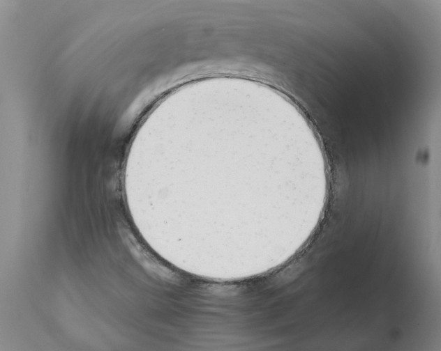 X0000111531499200908251149