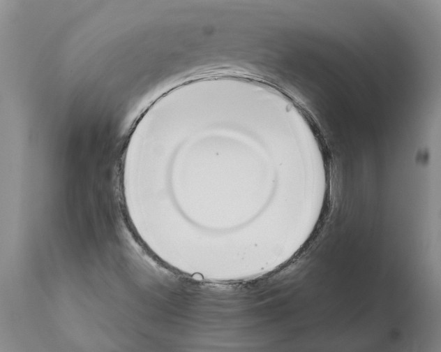 X0000111531500200908251149