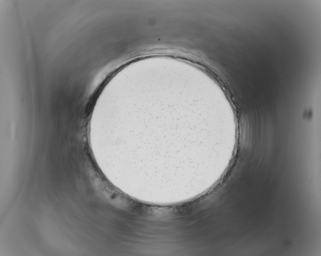 X0000111531501200908251149