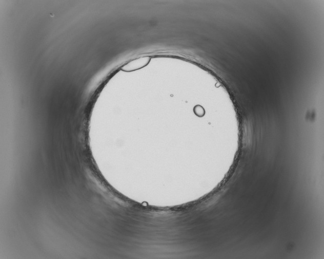 X0000111531502200908251149