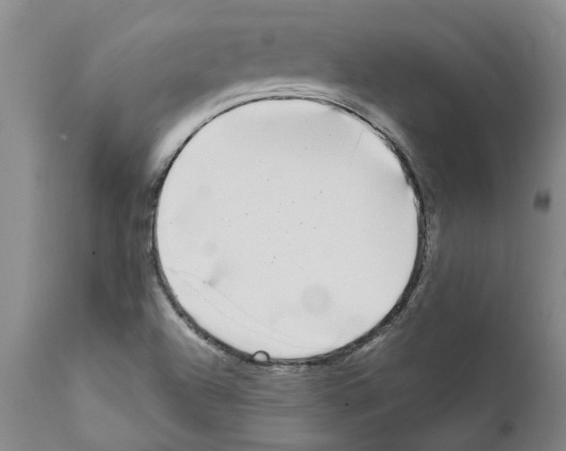 X0000111531504200908251149