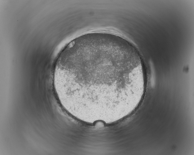 X0000111531506200908251149