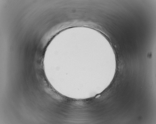 X0000111531507200908251149