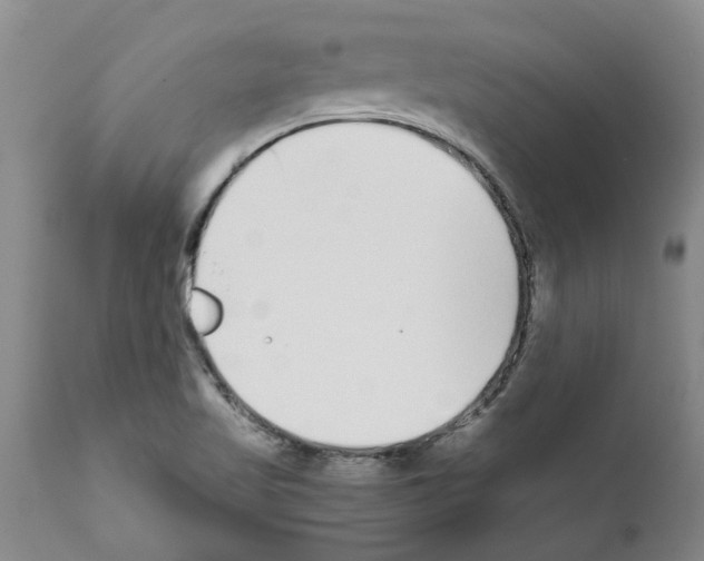 X0000111531509200908251149