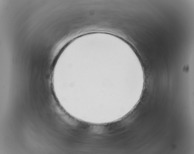 X0000111531511200908251150