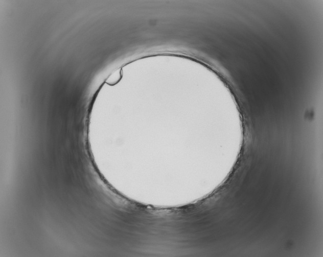 X0000111531512200908251150