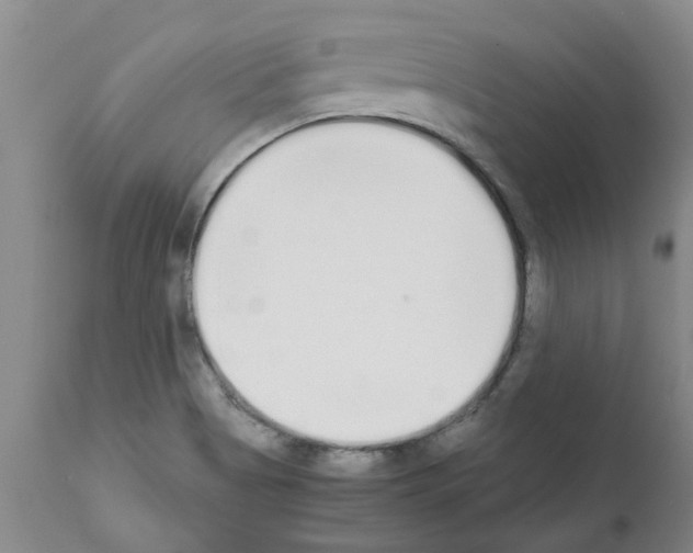 X0000111531513200908251150