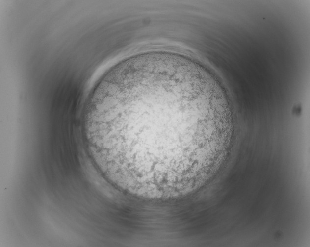 X0000111531514200908251150