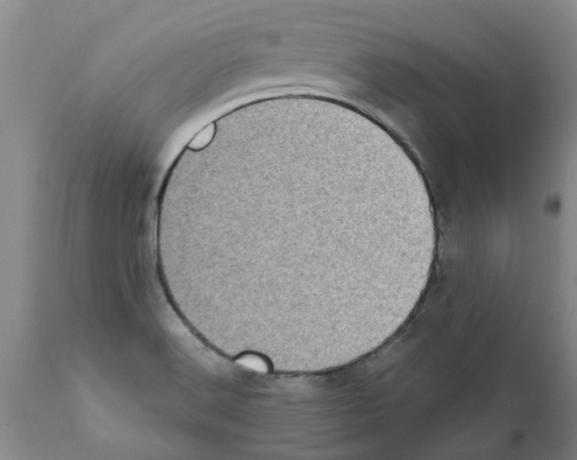 X0000111531516200908251150