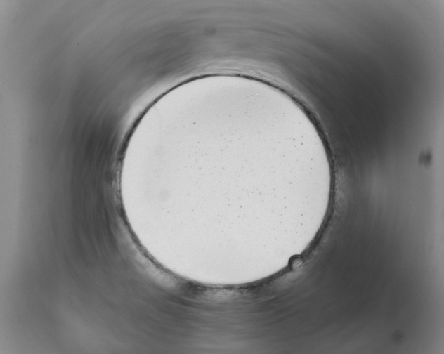 X0000111531517200908251150