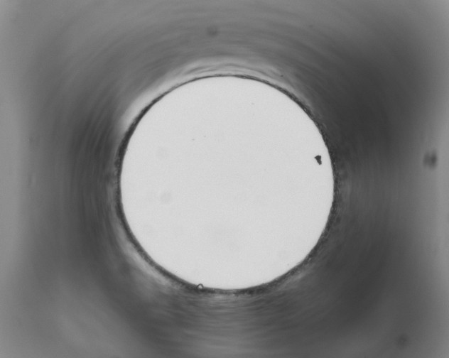 X0000111531518200908251150