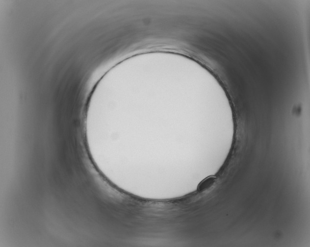 X0000111531520200908251150